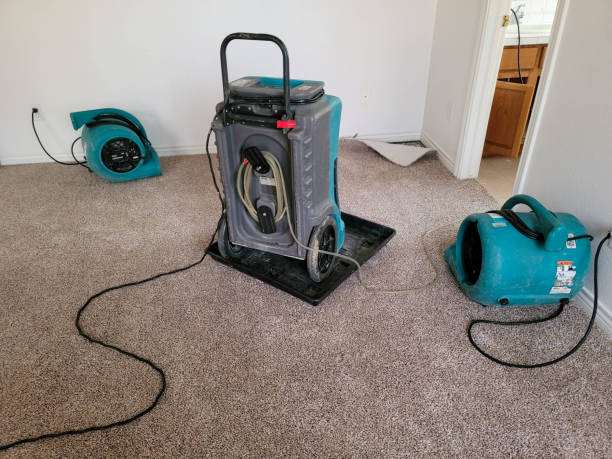 Best Carpet water damage restoration  in Auburn, KY