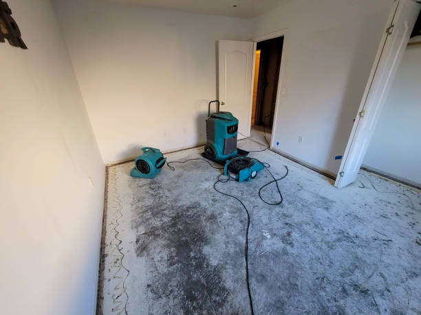 Best Water damage contractors near me  in Auburn, KY