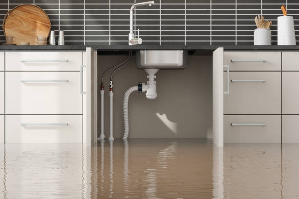 Best Ceiling water damage repair  in Auburn, KY